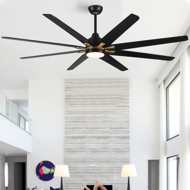 Ceiling Fans